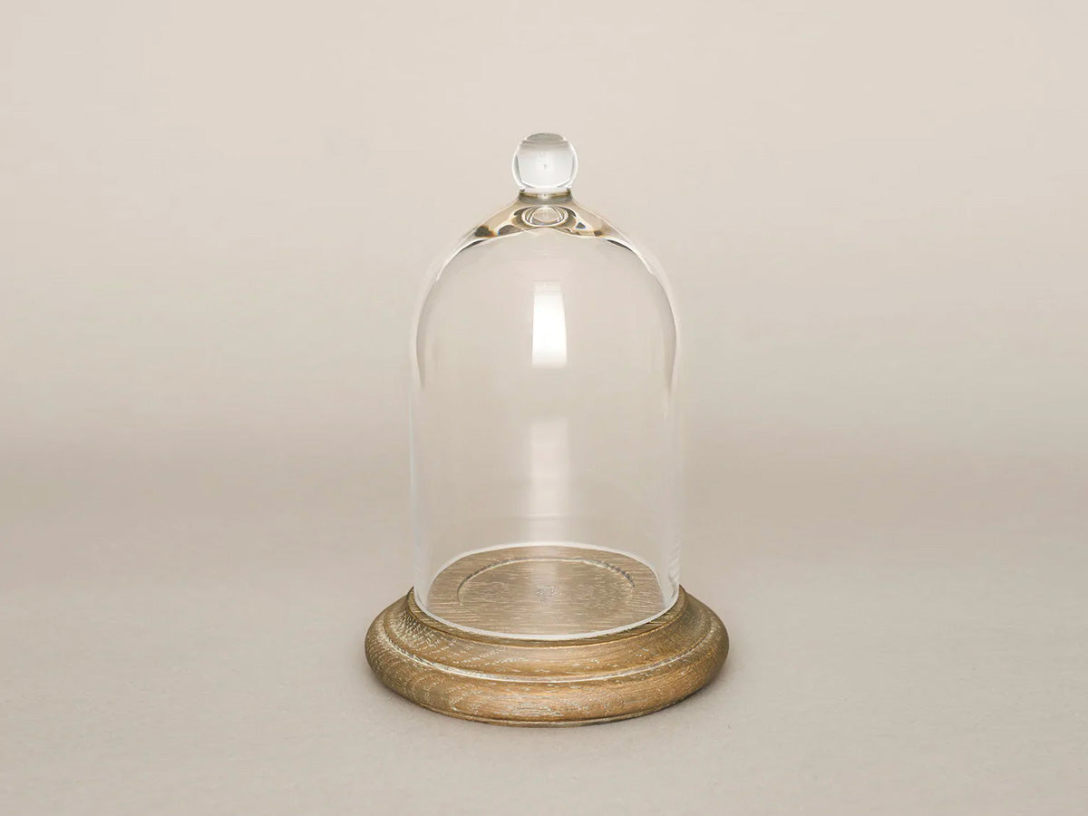 Glass Cloche (S)