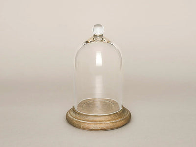 Glass Cloche (S)